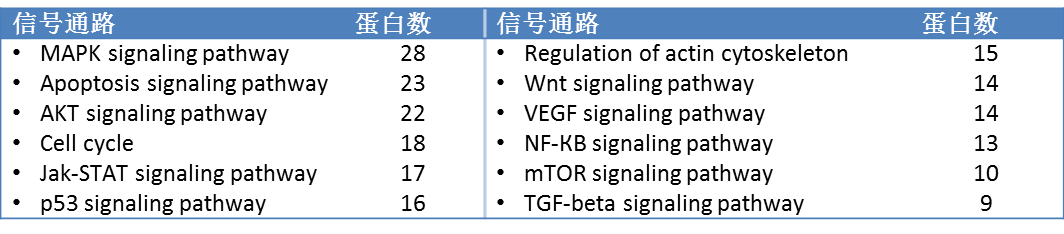腫瘤信號(hào)通路廣譜芯片3
