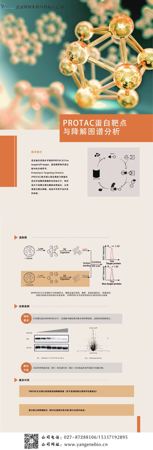 PROTC蛋白靶點(diǎn)與降解圖譜分析
